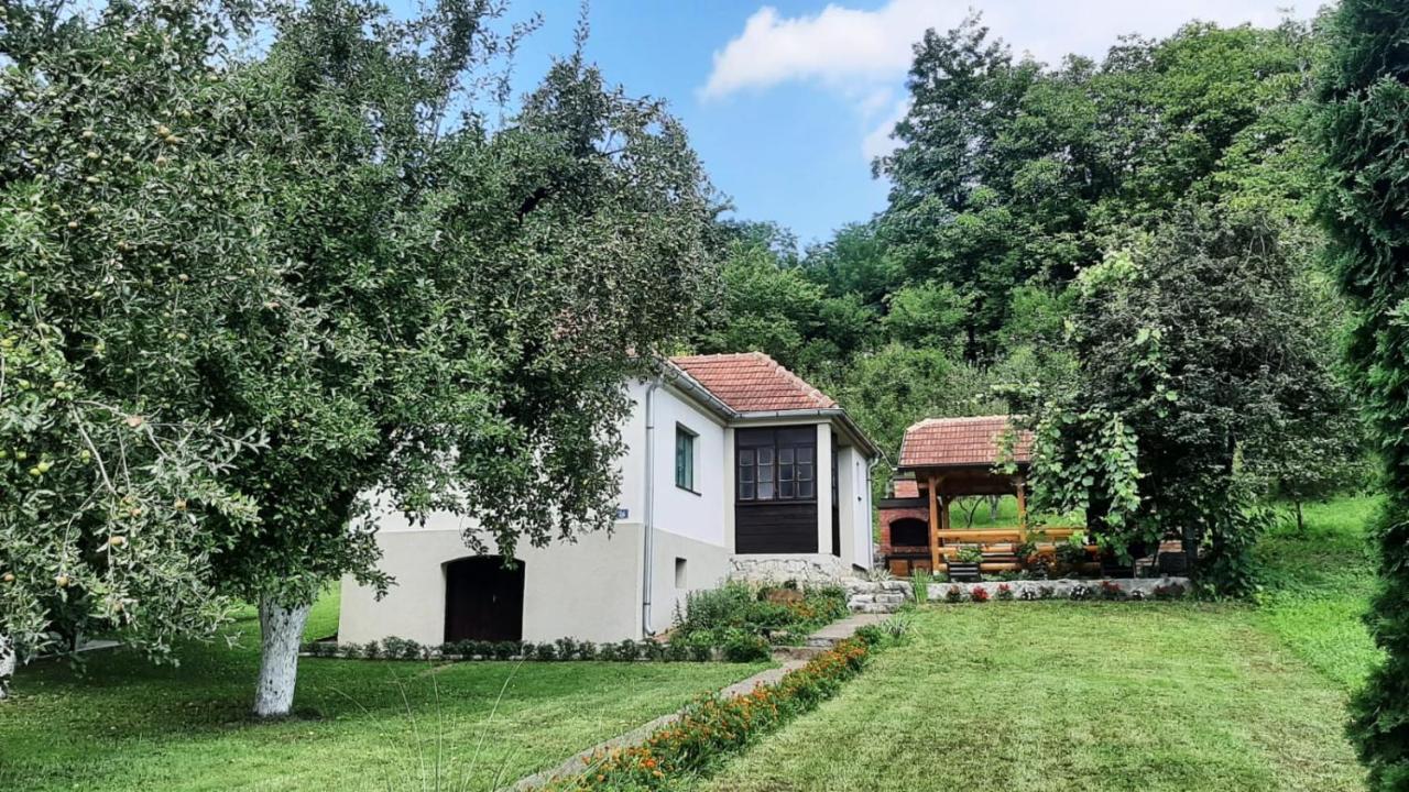 Rusticna Kuca Crvena Stena U Blizini Kucice Na Drini